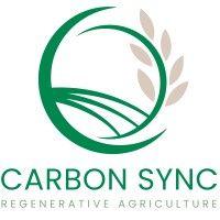 carbon sync logo image