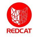 logo of Redcat It Outsourcing