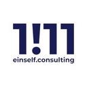 logo of Einself Consulting Gmbh Co Kg