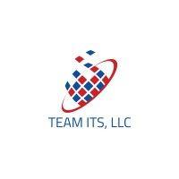 team its, llc logo image