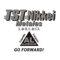 tst nikkei metales s rl de cv logo image