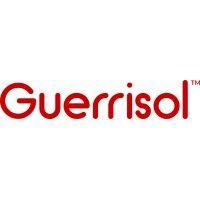 guerrisol by sdv logo image