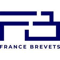 france brevets logo image