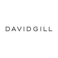 david gill gallery logo image