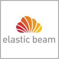 elastic beam, inc. (now part of ping identity) logo image