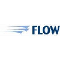 flow corretora logo image