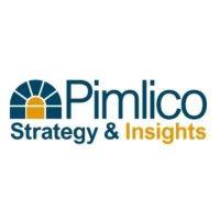 pimlico strategy & insights logo image