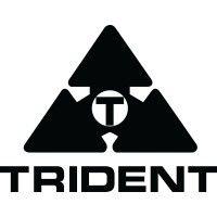 trident cloud logo image