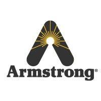 armstrong international – intelligent solutions in steam, air and hot water logo image