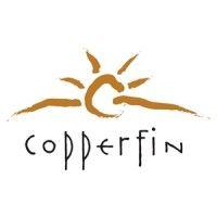 copperfin credit union logo image