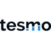 tesmo, llc logo image