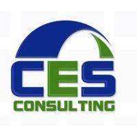 ces consulting llc logo image