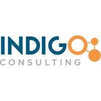 indigo consulting - iam experts logo image