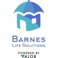 barnes life solutions logo image