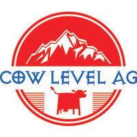 cow level - solution development in gaming 🐮🎮 logo image