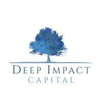 deep impact capital logo image