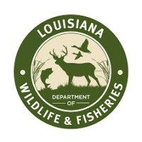 dept of wildlife & fisheries logo image