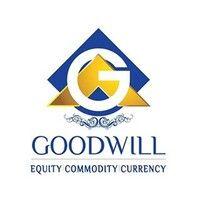 goodwill wealth management pvt ltd logo image