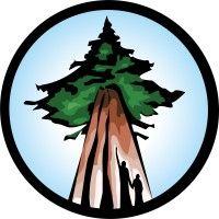 ancient forest alliance logo image