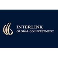 the interlink group logo image