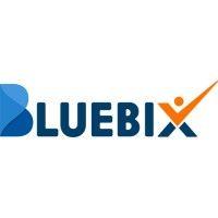 bluebix solutions logo image