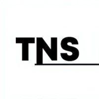 thenewsstand.in logo image