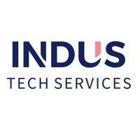 indus tech services logo image