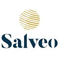 salveo logo image