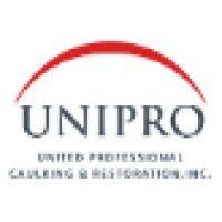 united professional logo image