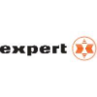 expert as logo image