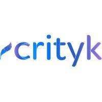 crityk logo image