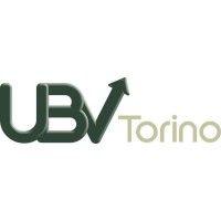 ubv torino s.r.l. logo image