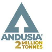 andusia holdings limited logo image