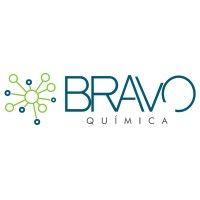 bravo química logo image