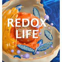 redox signaling molecules logo image