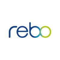 rebo lighting & electronics gmbh logo image