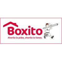 grupo boxito logo image