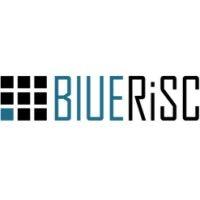 bluerisc inc. logo image