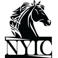 nyic (new york international capital, llc)