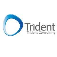 trident consulting logo image