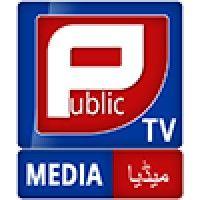 public tv media logo image