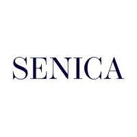 law firm senica & partners