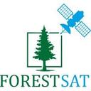 logo of Forestsat As