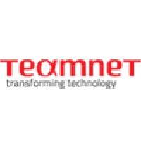 teamnet logo image