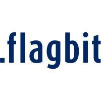 flagbit gmbh & co. kg