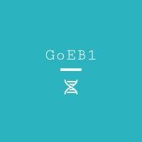 goeb1 logo image