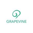 logo of Grapevine India