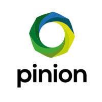 pinion logo image