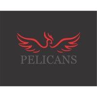 pelicans logo image