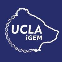 ucla igem logo image